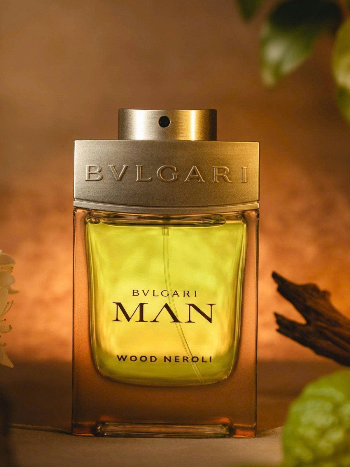 عطر أنيق — Elvane