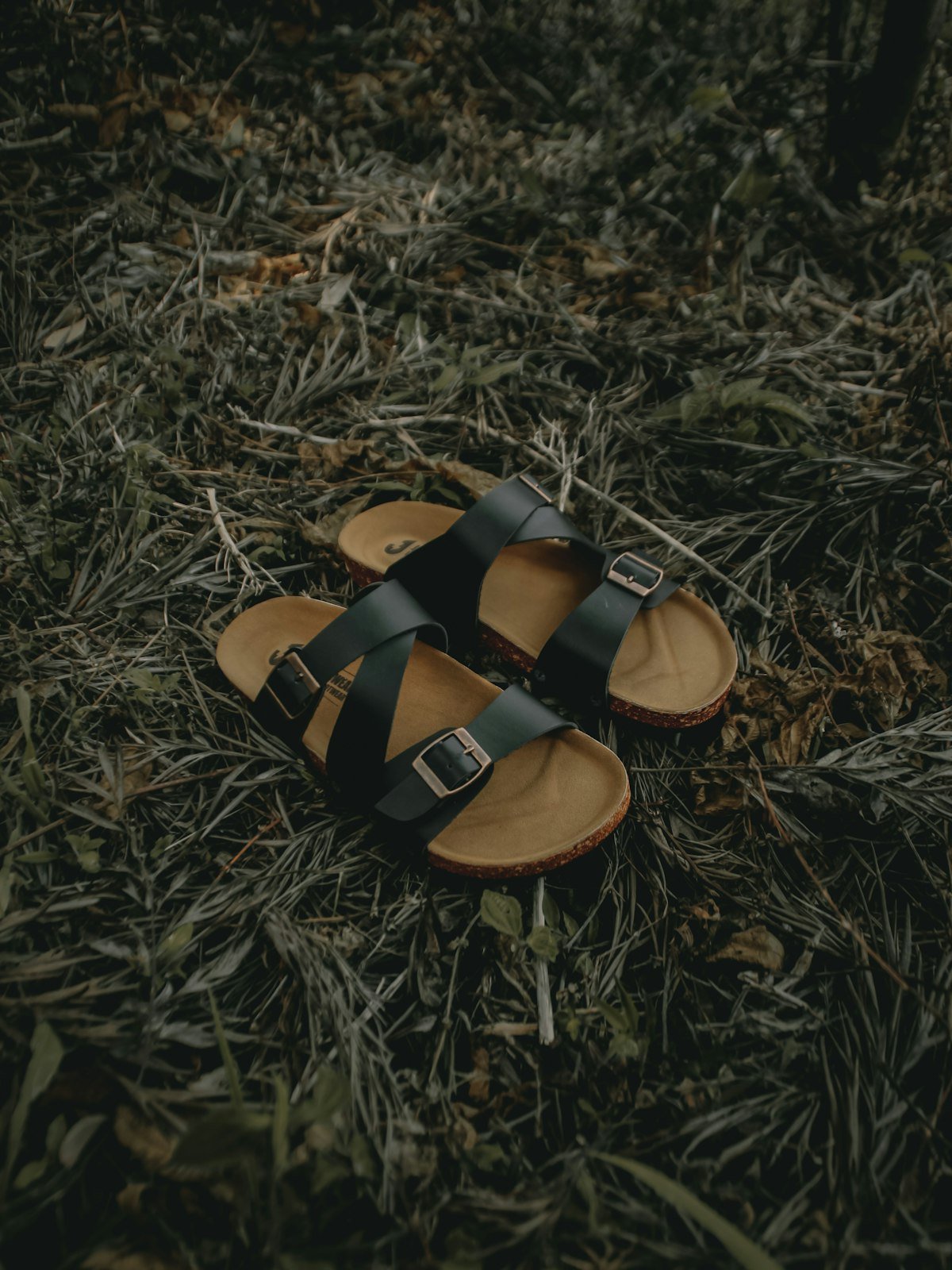 صندل يومي — Orinth