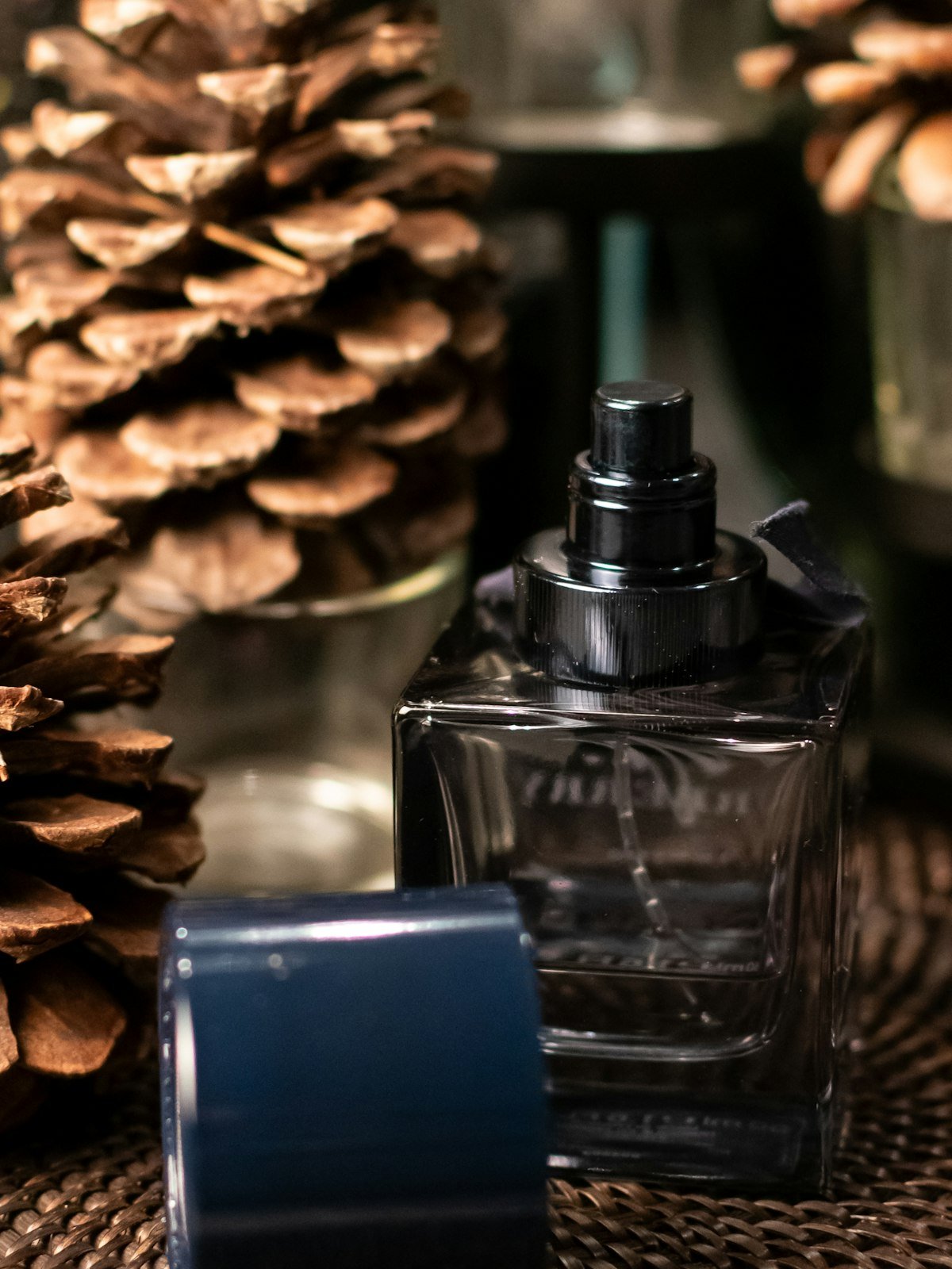 عطر أنيق — Selune