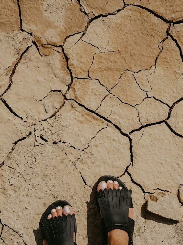 صندل بسيط — Orinth